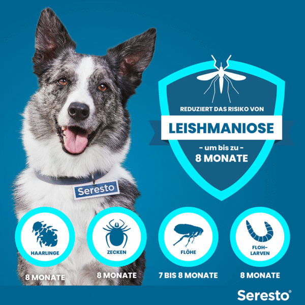 Seresto Halsband für große Hunde | ab 8 kg - 1 St. - Image 5