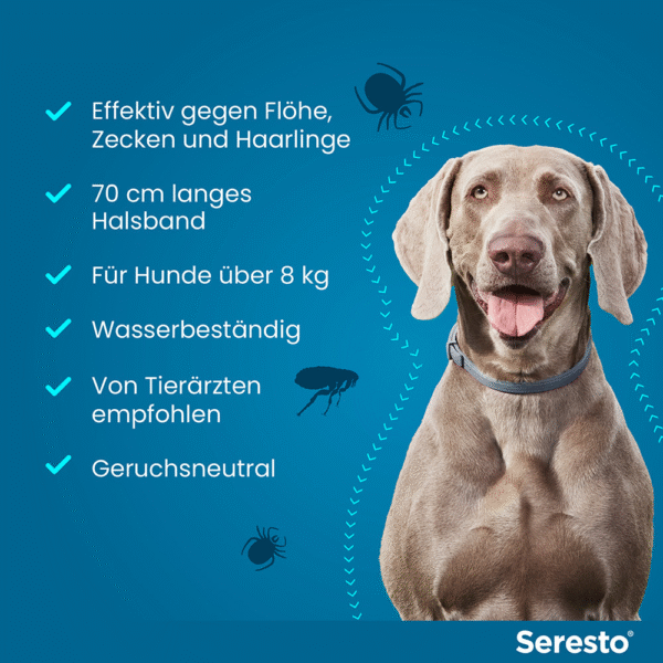 Seresto Halsband für große Hunde | ab 8 kg - 1 St. - Image 6