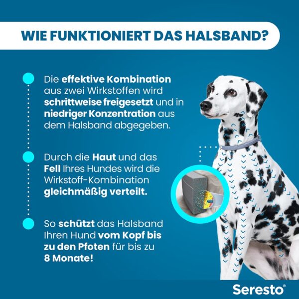 Seresto Halsband für große Hunde | ab 8 kg - 1 St. - Image 7