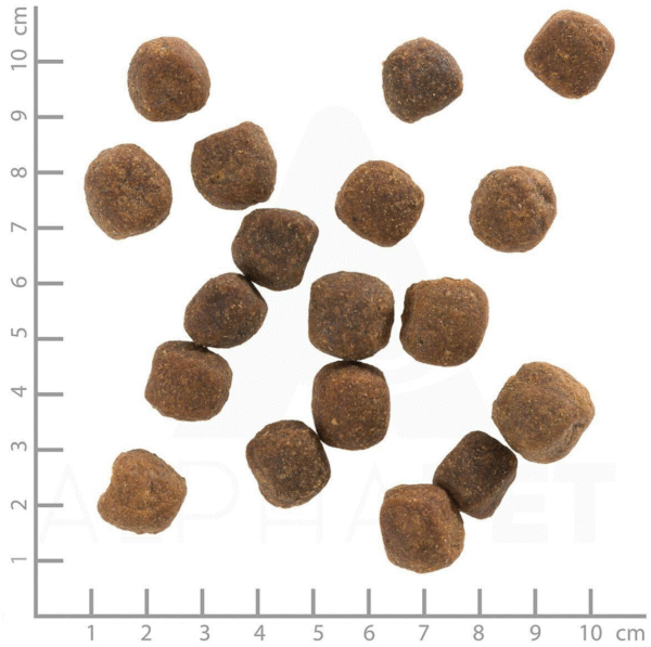 Wolfsblut Adult Wild Duck Hund Trockenfutter Wild Duck Hund Adult 12,5kg - Image 3
